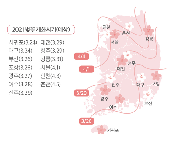 2021 벚꽃 개화시기(예상)